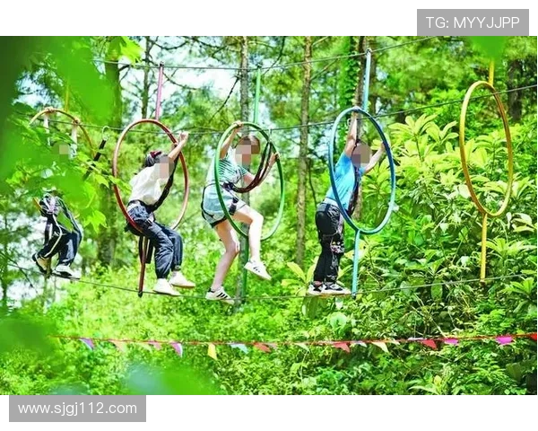 四季娱乐平台官方：畅享四季变换带来的无限乐趣