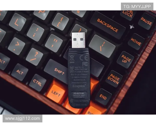 如何安全访问ca88网页版登录网址，获取最佳游戏体验